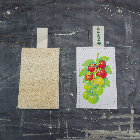 Cherry Tomatoes - NEW Eco Sponge