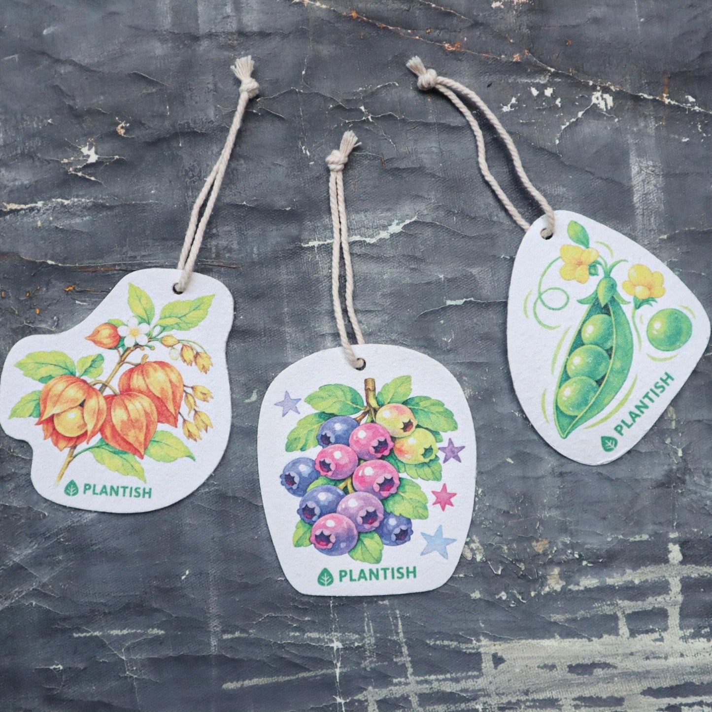 Set of 3 Garden Harvest Pop Up Sponges