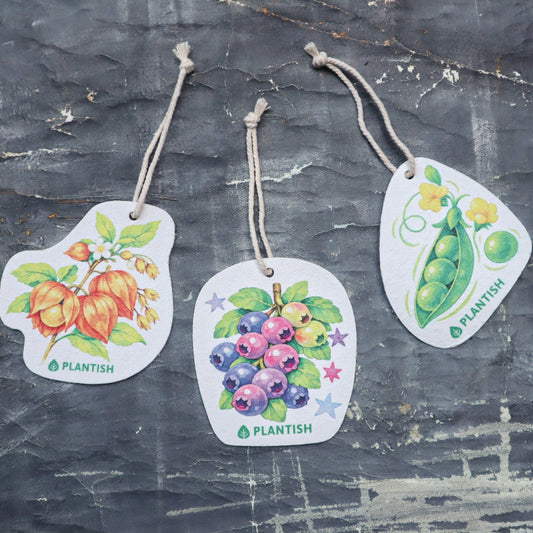 Set of 3 Garden Harvest Pop Up Sponges