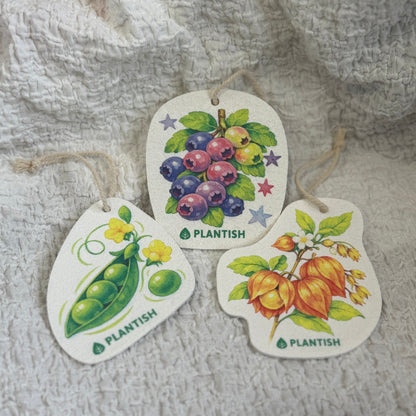 Set of 3 Garden Harvest Pop Up Sponges
