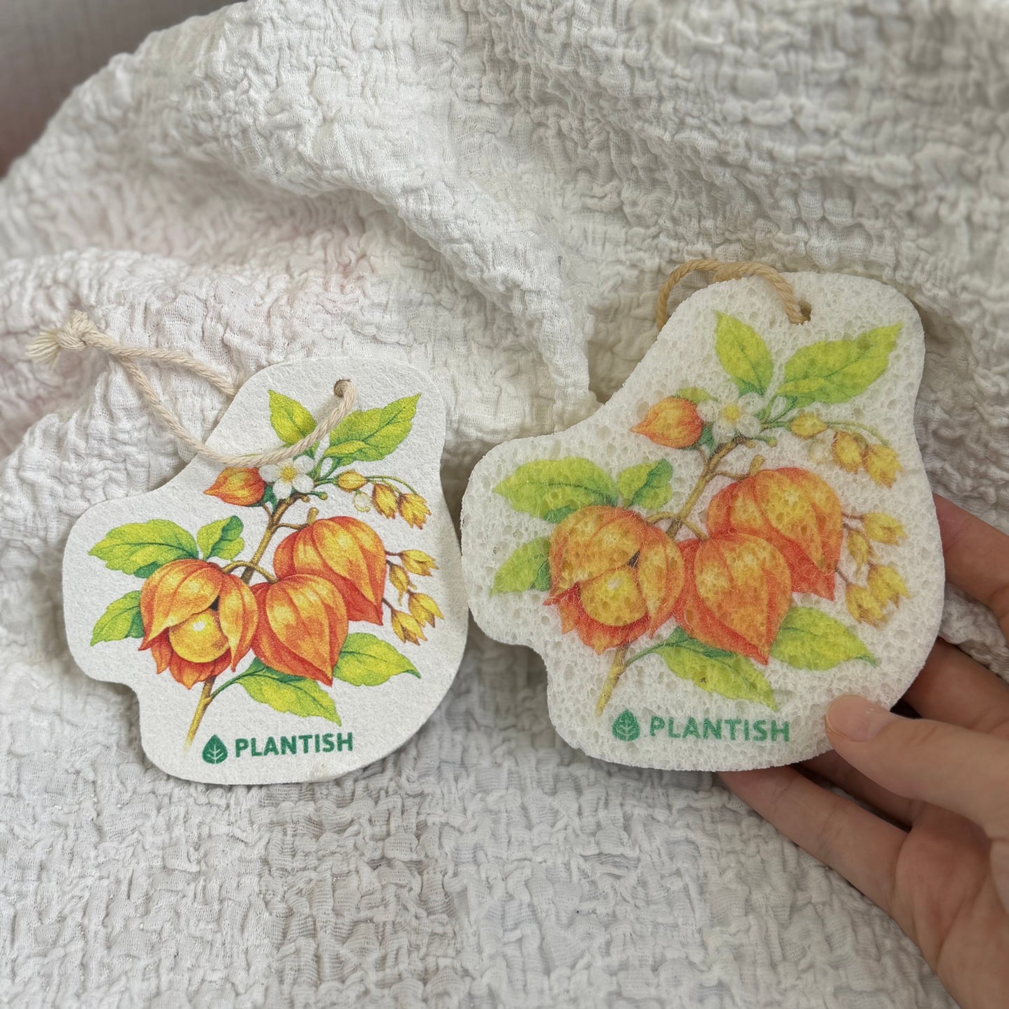 Set of 3 Garden Harvest Pop Up Sponges