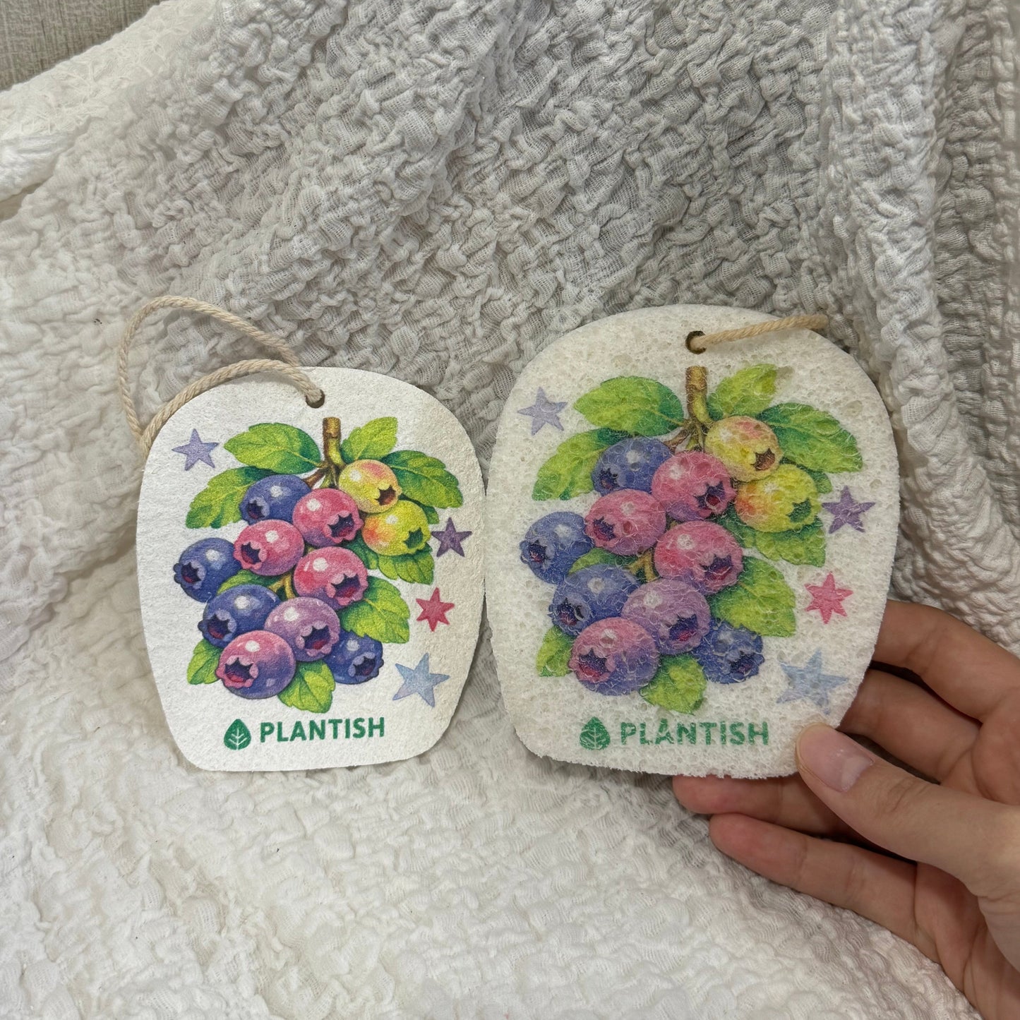 Set of 3 Garden Harvest Pop Up Sponges
