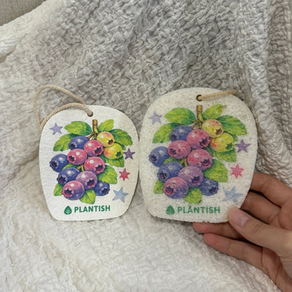 Set of 3 Garden Harvest Pop Up Sponges