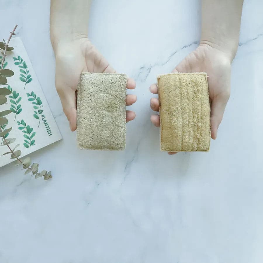 Cherry Tomatoes - NEW Eco Sponge