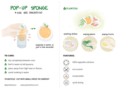 Orange You Glad - Pop up Sponge